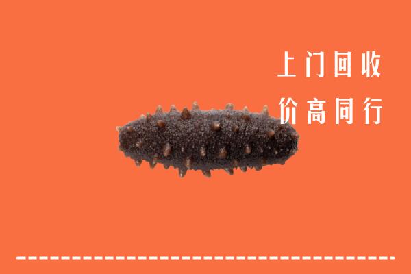 高价求购：湘西州保靖回收海参