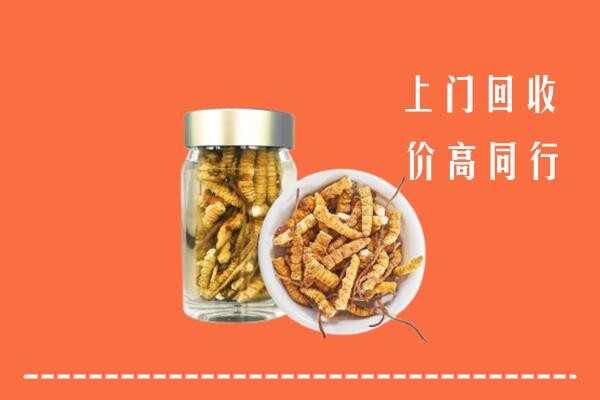 收购行情：湘西州保靖回收冬虫夏草