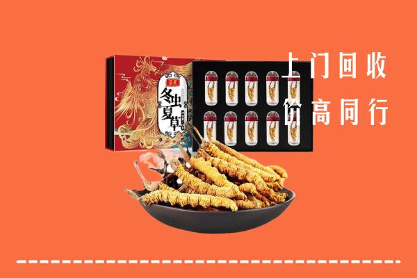 收购行情：湘西州保靖回收虫草
